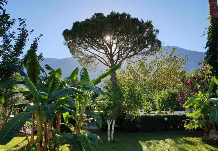 Gokcen Apartments Oludeniz Exteriér fotografie