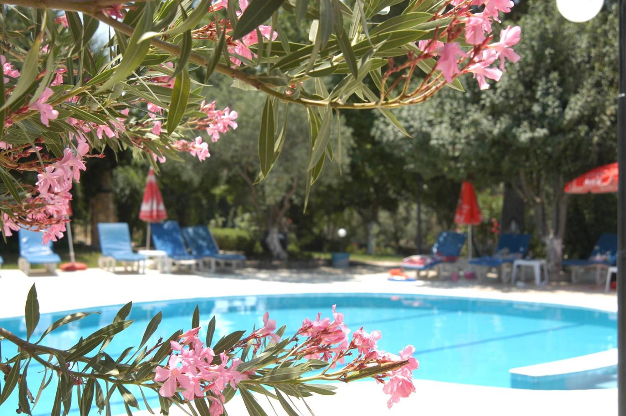 Gokcen Apartments Oludeniz Exteriér fotografie